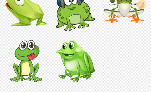 卡通青蛙动物海报素材背景PNG免扣透明设计图片 模板下载 32.07MB 动物大全 自然
