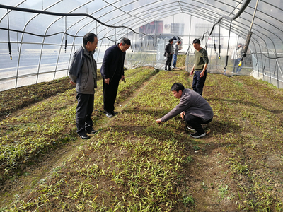 中国中医药考试认证网